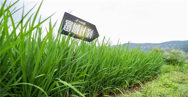 抖音電商“富域計劃”攜三農達人助農培訓，助力鄉(xiāng)村振興