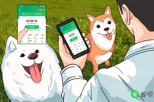 省唄：渡過(guò)資金鏈斷裂危機(jī)，一個(gè)犬舍老板的勵(lì)志追夢(mèng)史