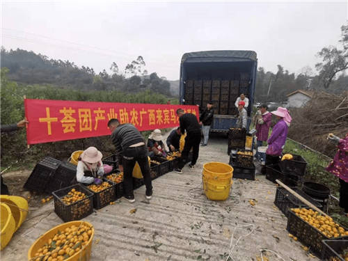 十薈團(tuán)承擔(dān)社區(qū)團(tuán)購企業(yè)責(zé)任，助力鄉(xiāng)村振興