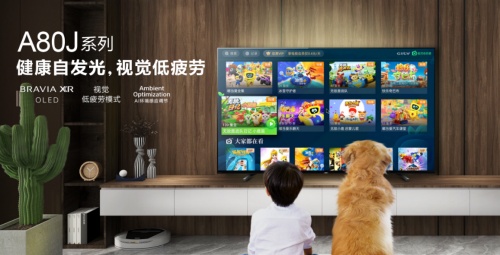 索尼洪鋼：持續(xù)深耕電視影音技術，推動行業(yè)發(fā)展升級