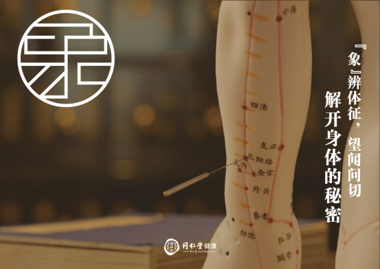 同仁堂健康雙十一活動(dòng)開(kāi)啟 “象食養(yǎng)醫(yī)”倡導(dǎo)從健康的時(shí)候就關(guān)注健康