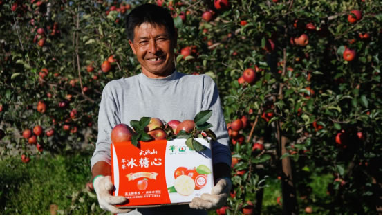 拼多多11.11玩法來了！攜手百家官旗品牌，補(bǔ)貼加碼優(yōu)質(zhì)國貨、農(nóng)產(chǎn)品2878.jpg