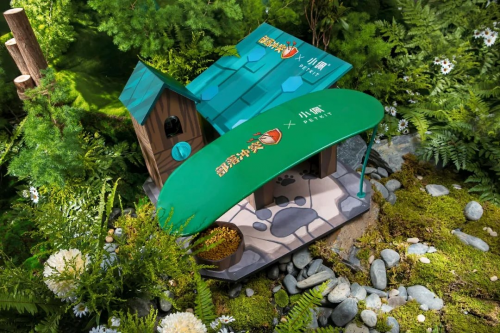部落沖突聯(lián)合PETKIT小佩安置高校流浪貓屋，呼吁保護(hù)流浪動(dòng)物