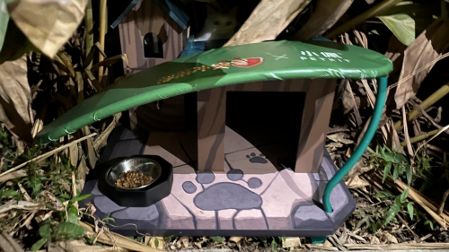 部落沖突聯(lián)合PETKIT小佩安置高校流浪貓屋，呼吁保護(hù)流浪動(dòng)物