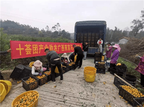十薈團積極發(fā)揮社區(qū)團購作用，開啟鄉(xiāng)村振興新方向