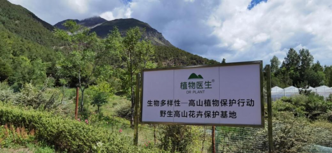 共建人與自然和諧相處社會，植物醫(yī)生守護生物多樣性之美