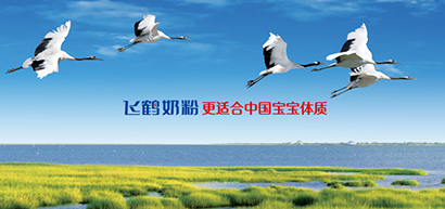 新國(guó)標(biāo)落地，飛鶴實(shí)力領(lǐng)跑