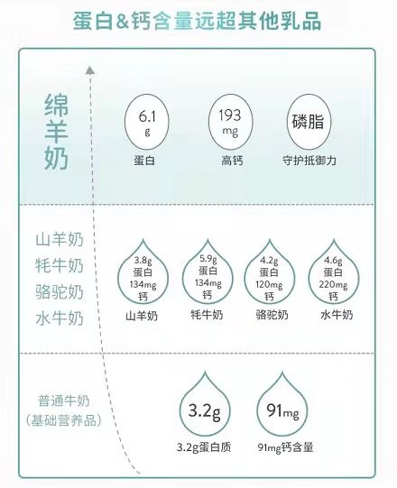 Spring Sheep?春綿?榮獲農(nóng)牧企業(yè)最快增長Top1，高端綿羊奶引領(lǐng)世界乳品新未來！