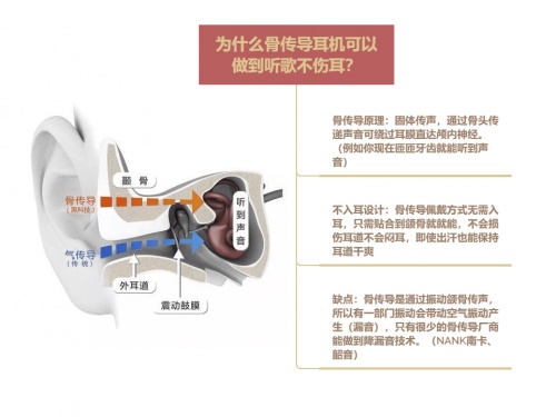 骨傳導(dǎo)耳機真的能保護耳朵和聽力嗎？骨傳導(dǎo)耳機原理科普及分析