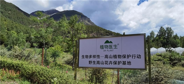 用長(zhǎng)期主義譜寫公益之光，植物醫(yī)生堅(jiān)持生物多樣性保護(hù)