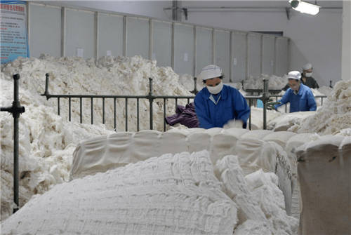 不懼“用人難” 金柚網(wǎng)助推企業(yè)跑出復工復產(chǎn)“加速度”