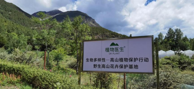 聚焦生物多樣性保護之路，植物醫(yī)生助力講述中國生態(tài)故事