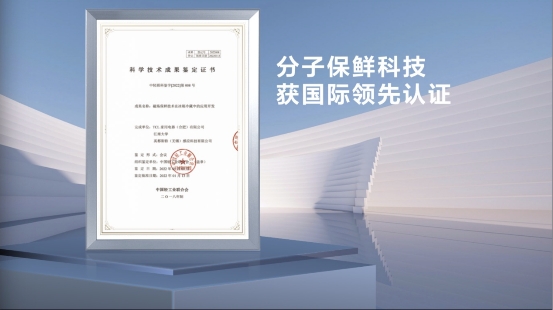 冷凍冷藏隨需換，TCL新品格物系列冰箱為多樣化保鮮而生！