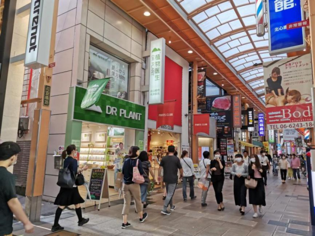 立足千億級(jí)化妝品市場(chǎng)，植物醫(yī)生研發(fā)為本開(kāi)啟行業(yè)新未來(lái)