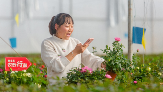 拼多多2022年研發(fā)費(fèi)用首度破百億，將繼續(xù)重投農(nóng)業(yè)科技，滿足用戶品質(zhì)需求970.png