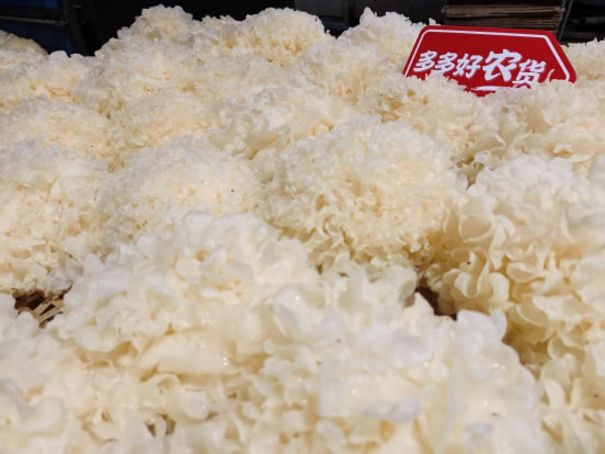 95后“菇三代”返鄉(xiāng)創(chuàng)業(yè)，拼多多助力菇農增收致富412.jpg