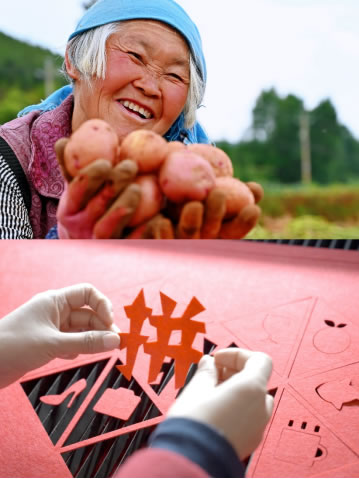 拼多多一季報(bào)：營收376.4億，建立“百億生態(tài)”專項(xiàng)，推動(dòng)平臺高質(zhì)量發(fā)展1811.jpg