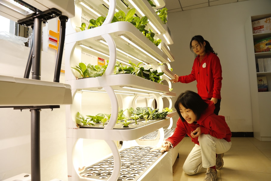 北京西樊各莊科技小院的學(xué)生在查看園藝種植機器中植物生長情況.jpg