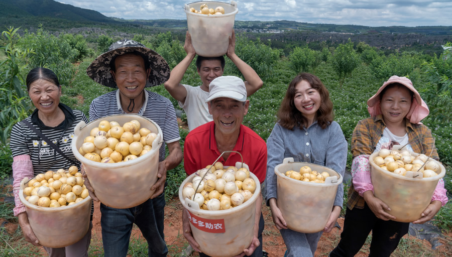 2024中國農(nóng)產(chǎn)品電商發(fā)展報(bào)告發(fā)布，拼多多從人與技術(shù)入手培育新質(zhì)生產(chǎn)力.jpg