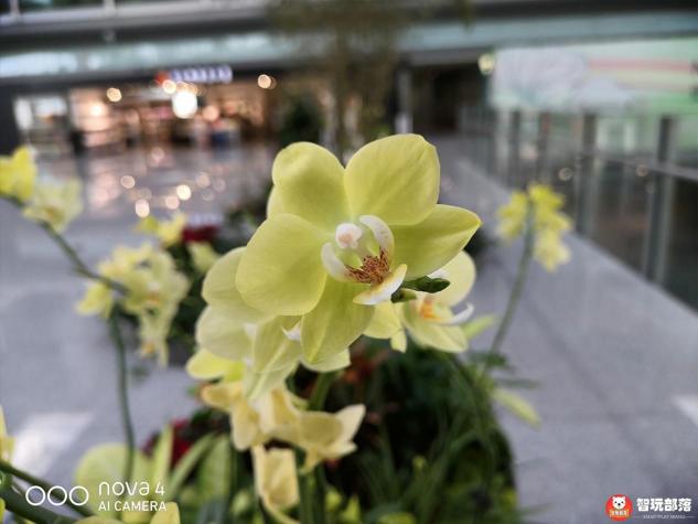 華為nova4后置三攝評測：首發(fā)索尼IMX586，117°超廣角解鎖大視野