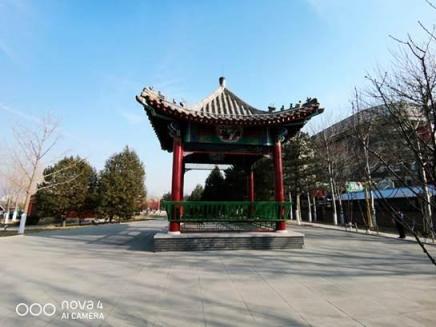 4800萬像素+超大廣角，華為nova4后置三攝帶來更多新玩法