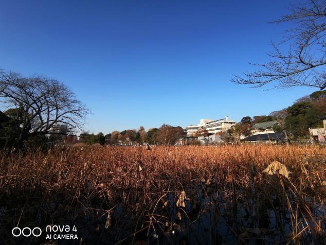 廣角拍攝為什么會成為趨勢？看看華為nova4拍攝的樣張就知道了