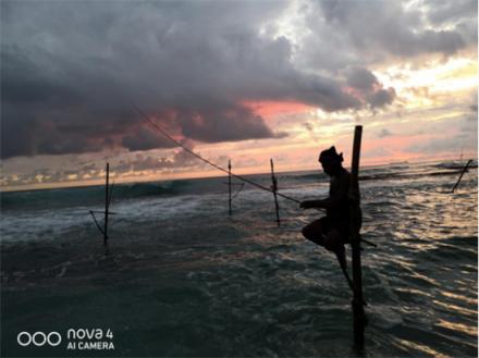解讀海外華為nova4廣角樣張，大廣角功能讓拍照如虎添翼！
