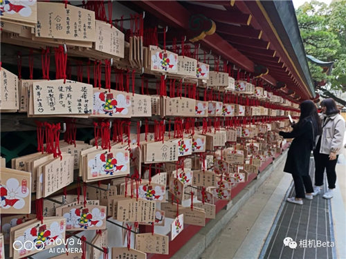 不帶相機去旅行，華為nova4超廣角給旅行帶來更多驚喜