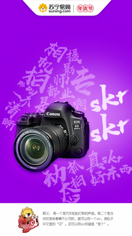 蘇寧數(shù)碼年貨節(jié)8大熱詞，洞見新年新生活