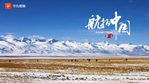 抓住新年的尾巴，華為視頻伴你共度元宵！