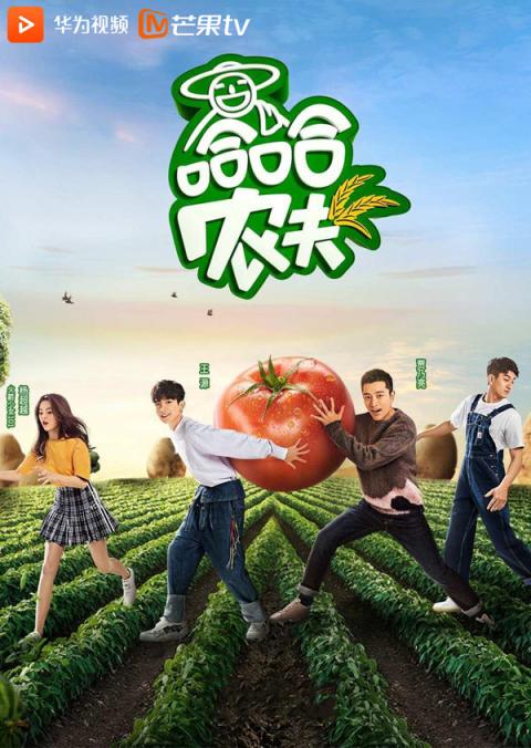 6部熱綜溫暖你的三月 華為視頻帶你看過(guò)癮！