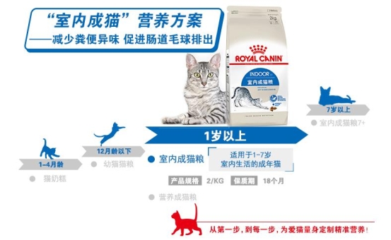 二哈拆家？蘇寧煥新節(jié)給鏟屎官支招
