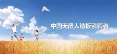 湘糧板業(yè)參編《人造板用無甲醛添加膠黏劑》團體標準制定，引領(lǐng)無醛板市場發(fā)展