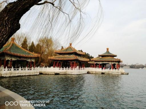 3200萬立體美顏，超大廣角，華為nova 4e拍照效果令人驚艷