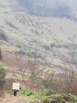 進山送貨成常態(tài)，零售云如何贏得農村消費者信任