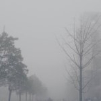為了保持睡眠的健康，我選擇了它