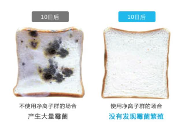 夏普凈離子群技術風靡全球 賦能全系家電呵護生活健康