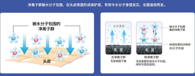 夏普凈離子群技術風靡全球 賦能全系家電呵護生活健康