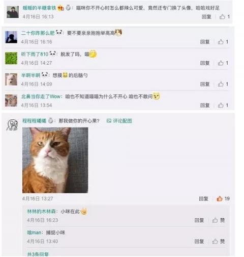 天貓TA為什么不開心？剛剛，這個秘密正式揭曉