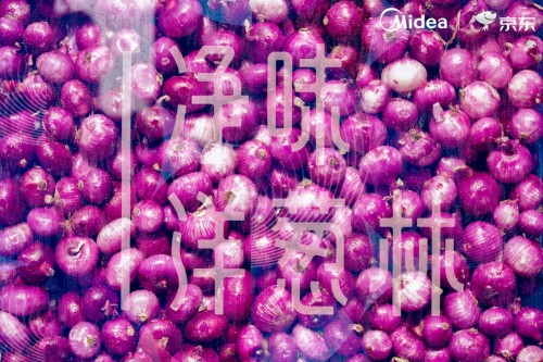 美的冰箱空降食材藝術展，導致在場上千枚洋蔥集體“變異”
