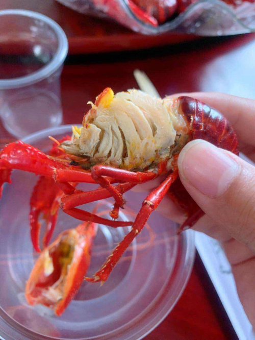 無小龍蝦不夏天！蘇寧拼購拼基地助力生鮮自由頻獲央黨媒點(diǎn)贊