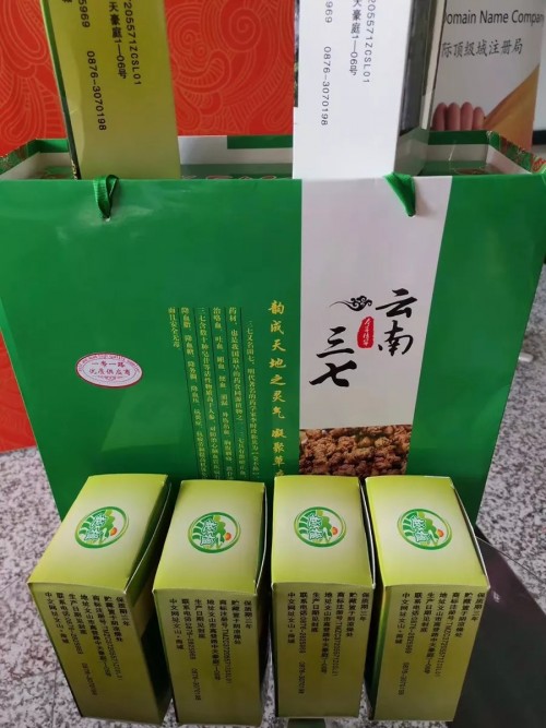 京客網(wǎng)承辦第三屆中文域名應用論壇“.商城”域名分會在京召開