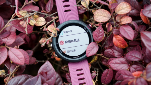 Garmin Forerunner 245，全新升級(jí)帶來(lái)全新體驗(yàn)