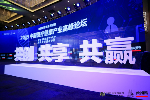 打造高淳醫(yī)療健康產(chǎn)業(yè)高地，2019中國(guó)醫(yī)療健康產(chǎn)業(yè)高峰論壇舉行