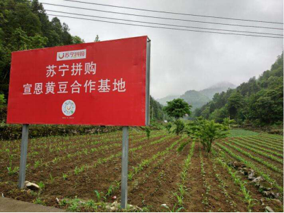 供應(yīng)鏈“造血”助湖北宣恩快速脫貧，蘇寧拼購助力全面建成小康社會