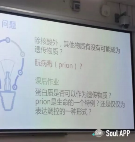 Soul App上閃閃發(fā)光的普通人，點(diǎn)燃溫情瞬間