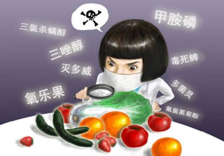 凈食機(jī)哪個(gè)牌子好，為什么凈食機(jī)已成為廚房必備？