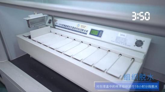 引爆冰箱行業(yè)的“微晶一周鮮”大揭秘！美的微晶冰箱如何做到“不凍原鮮，口感如初”？