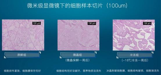引爆冰箱行業(yè)的“微晶一周鮮”大揭秘！美的微晶冰箱如何做到“不凍原鮮，口感如初”？