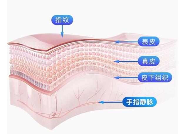 智能門鎖不止有指紋，樸墅指靜脈智能鎖了解一下？